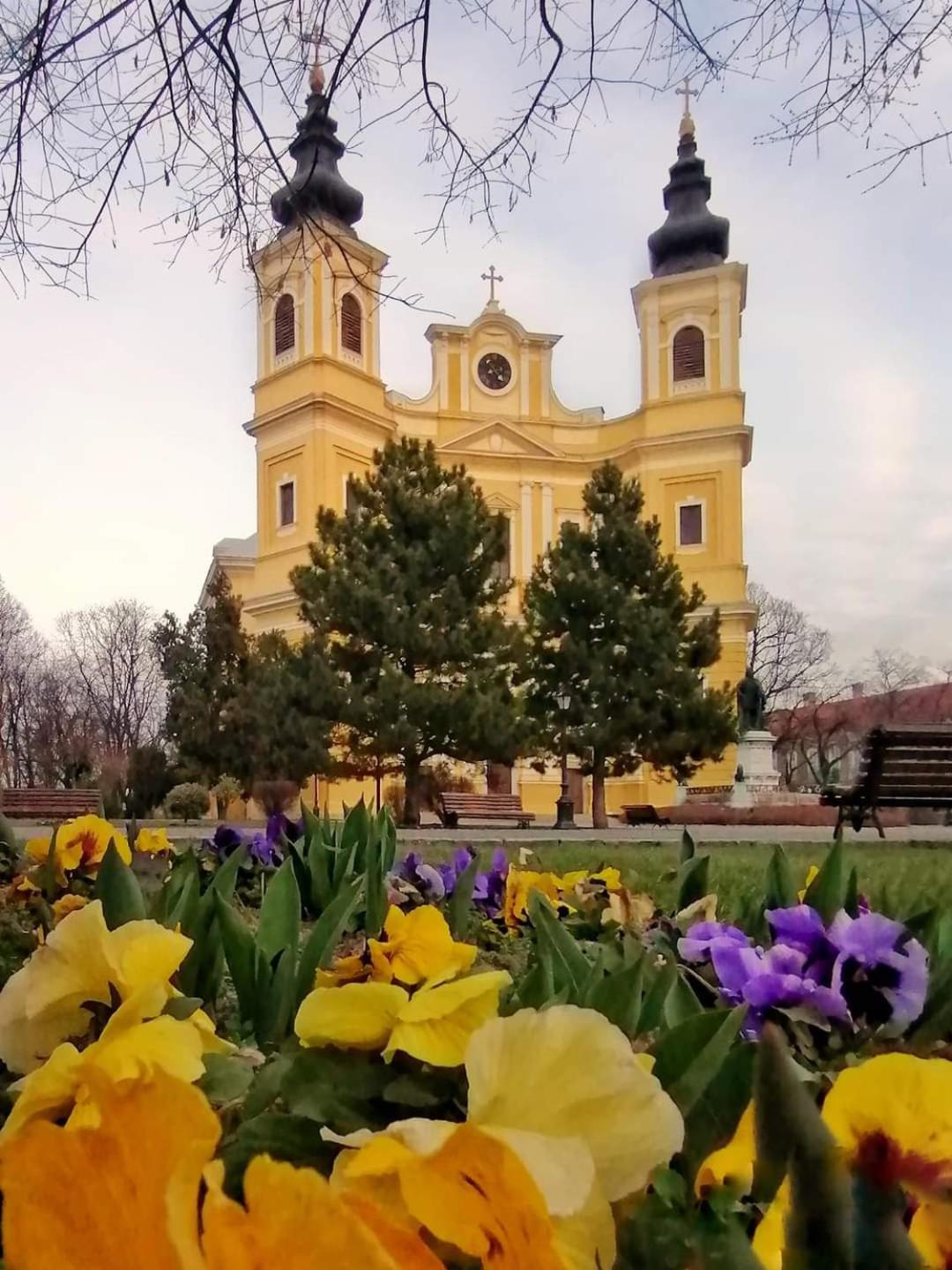 Ferienwohnung Alia Oradea Exterior foto